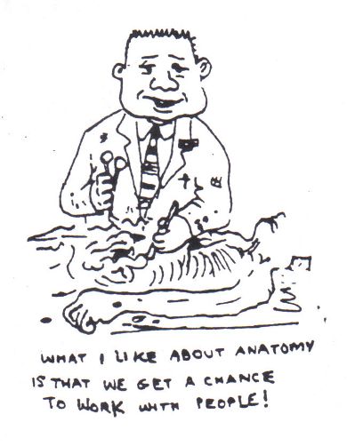 Cartoons From UC Medical School Class Of 1963